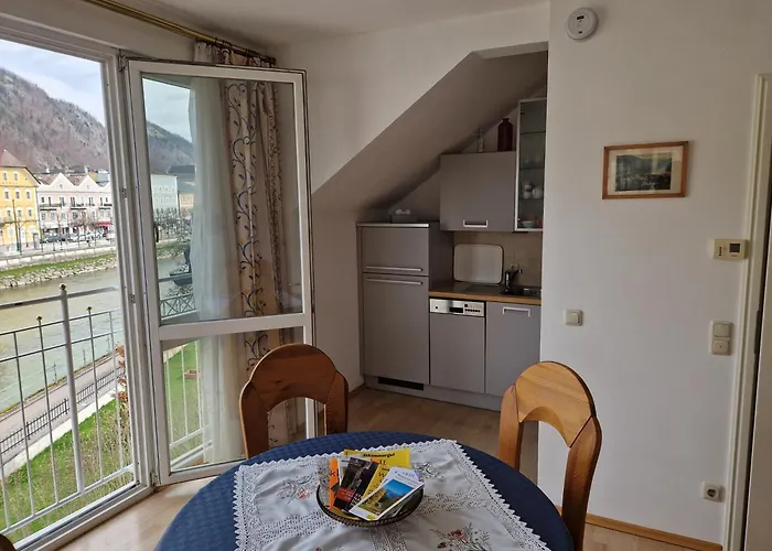 Apartment Traunkai Zauner Blick