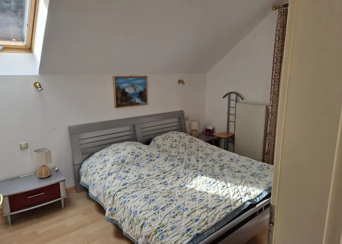 Apartment Traunkai Zauner Blick